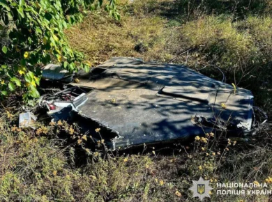 Поблизу Вінниці знищили російські реактивні БпЛА